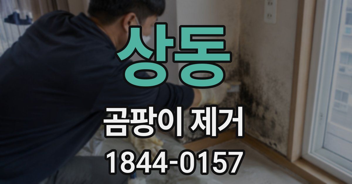 상동 곰팡이 제거