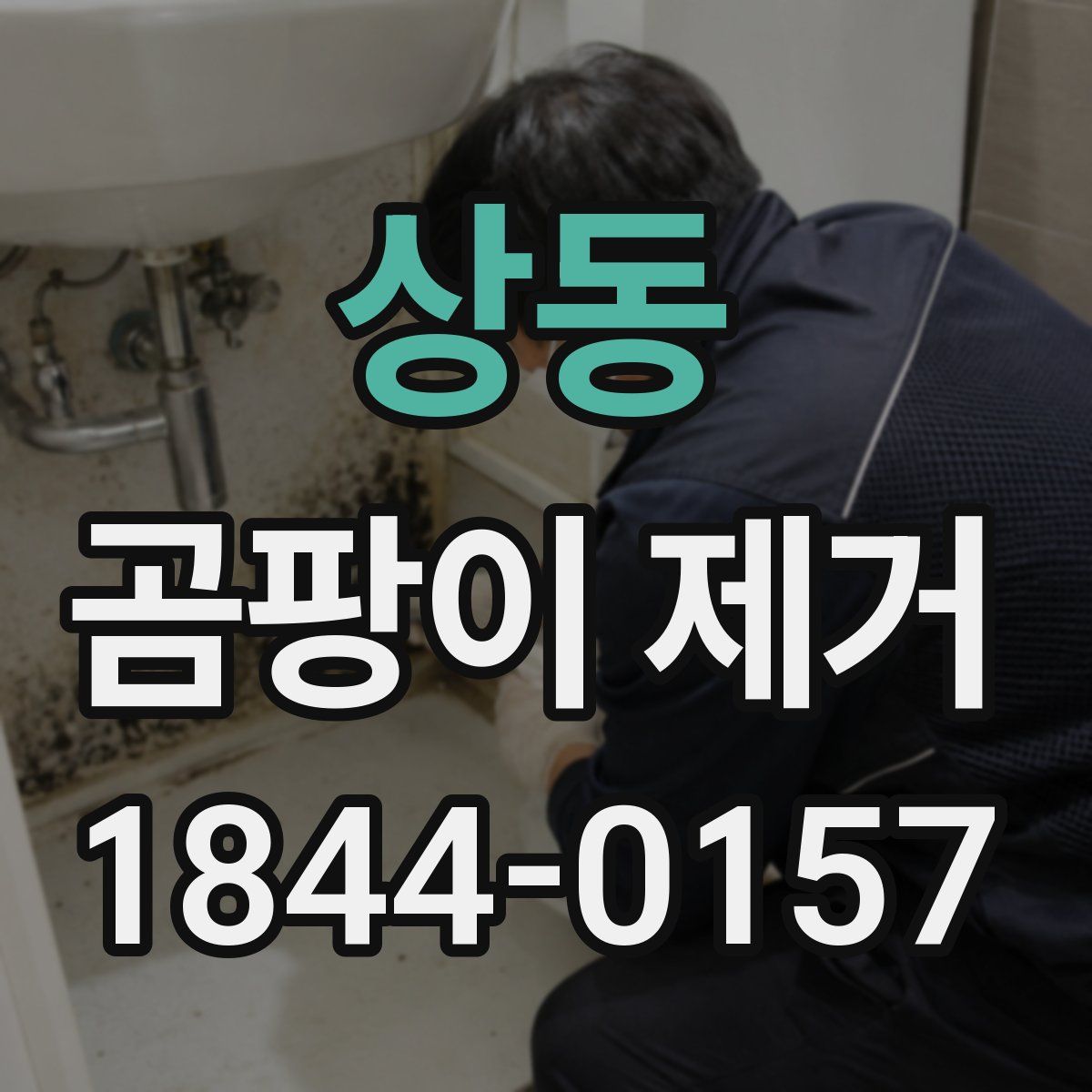 상동 곰팡이 제거