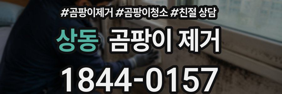 상동 곰팡이 제거