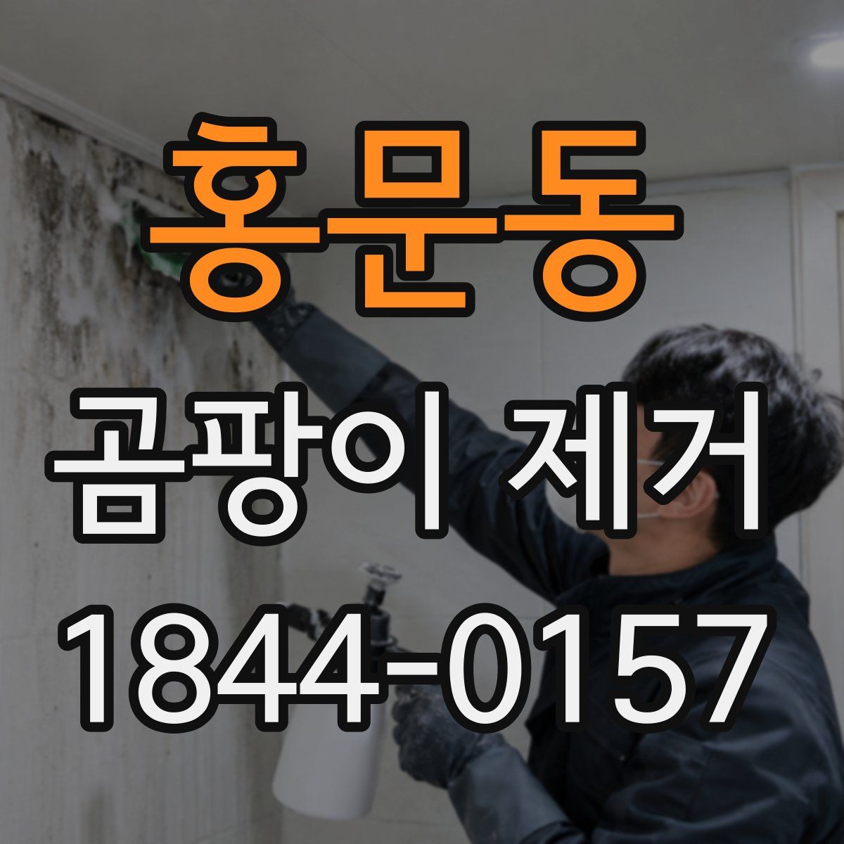 홍문동 곰팡이 제거
