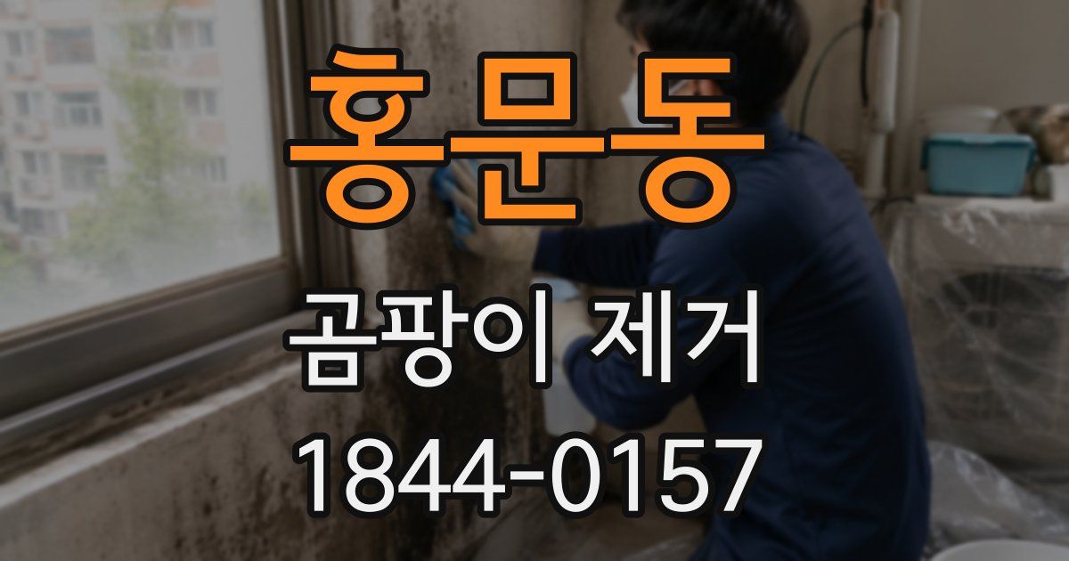 홍문동 곰팡이 제거
