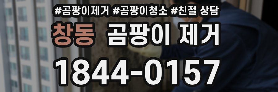 창동 곰팡이 제거