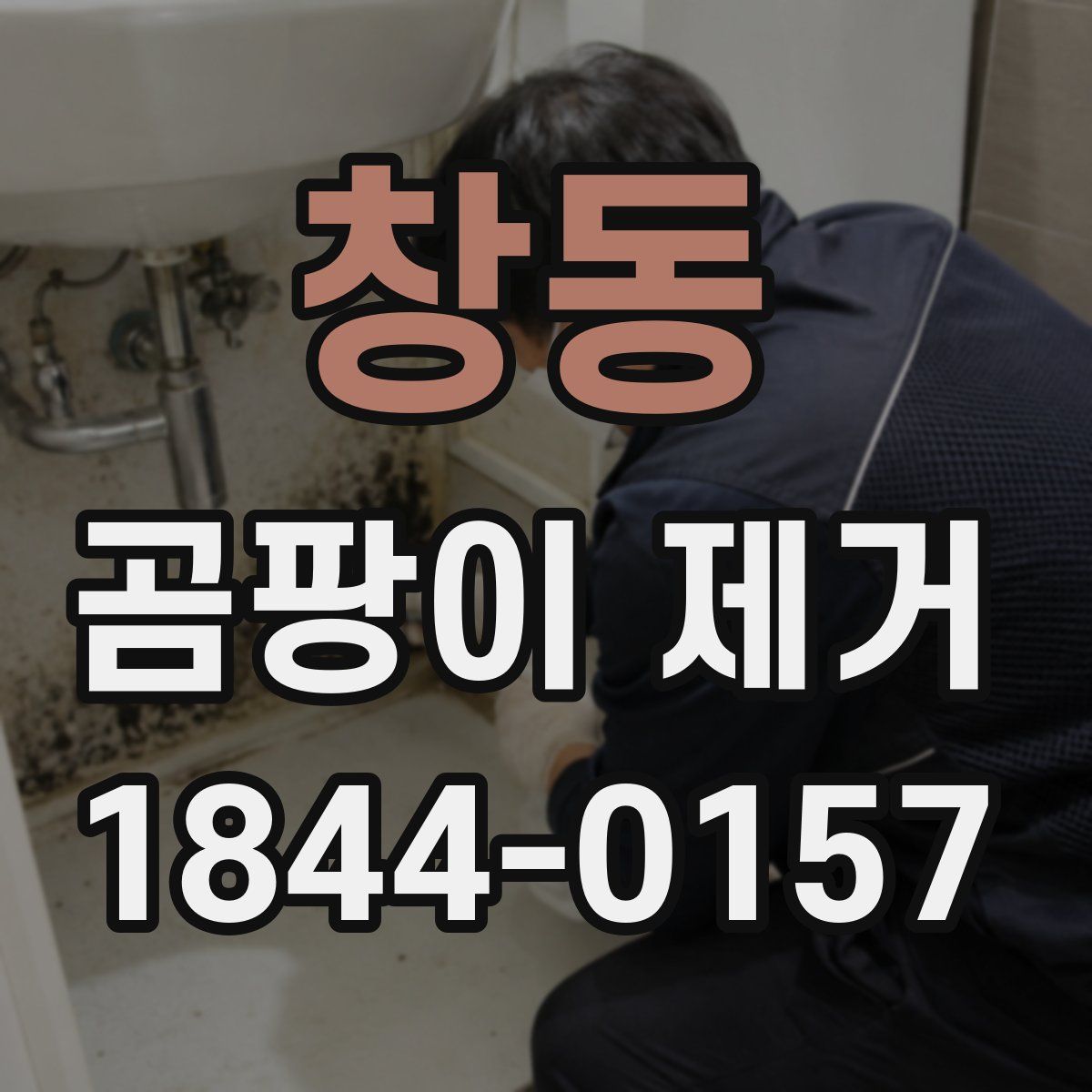 창동 곰팡이 제거