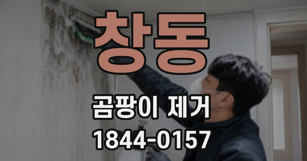 창동 곰팡이 제거