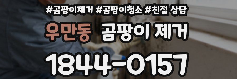 우만동 곰팡이 제거