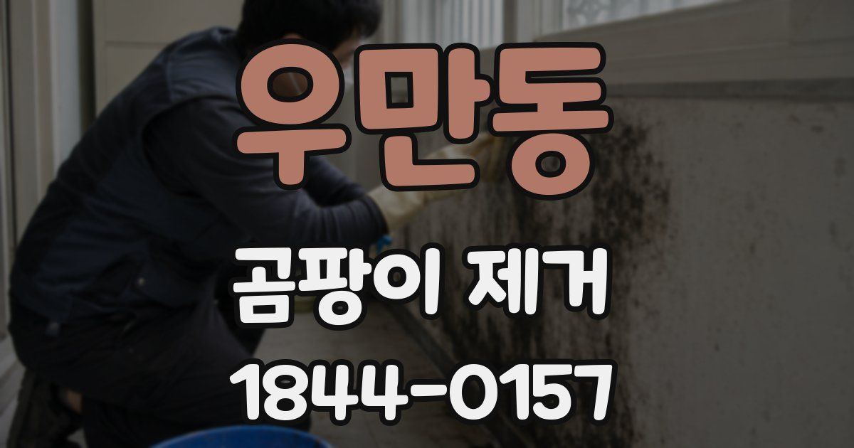 우만동 곰팡이 제거