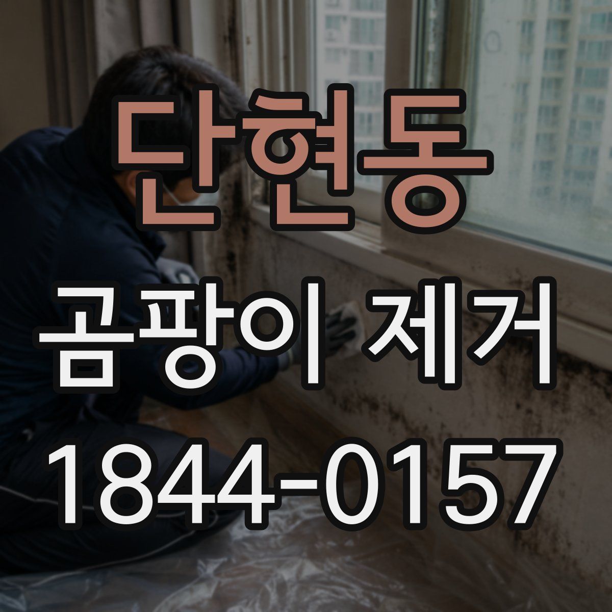 단현동 곰팡이 제거