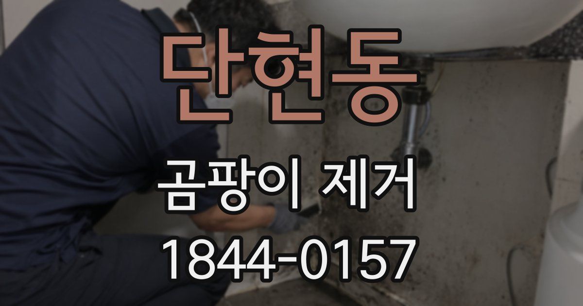 단현동 곰팡이 제거
