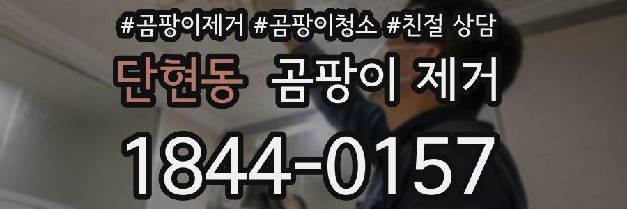 단현동 곰팡이 제거