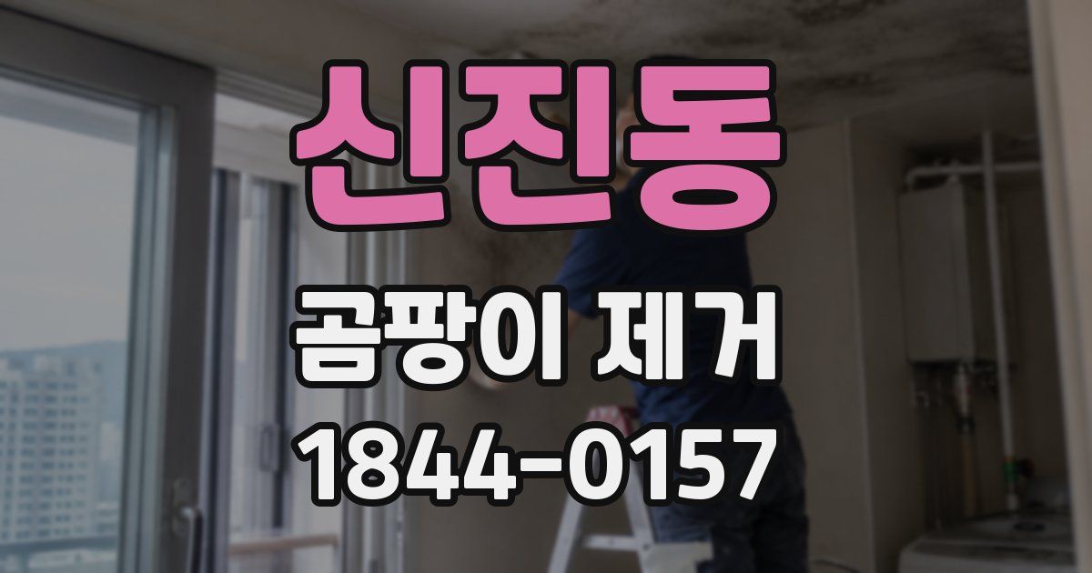 신진동 곰팡이 제거