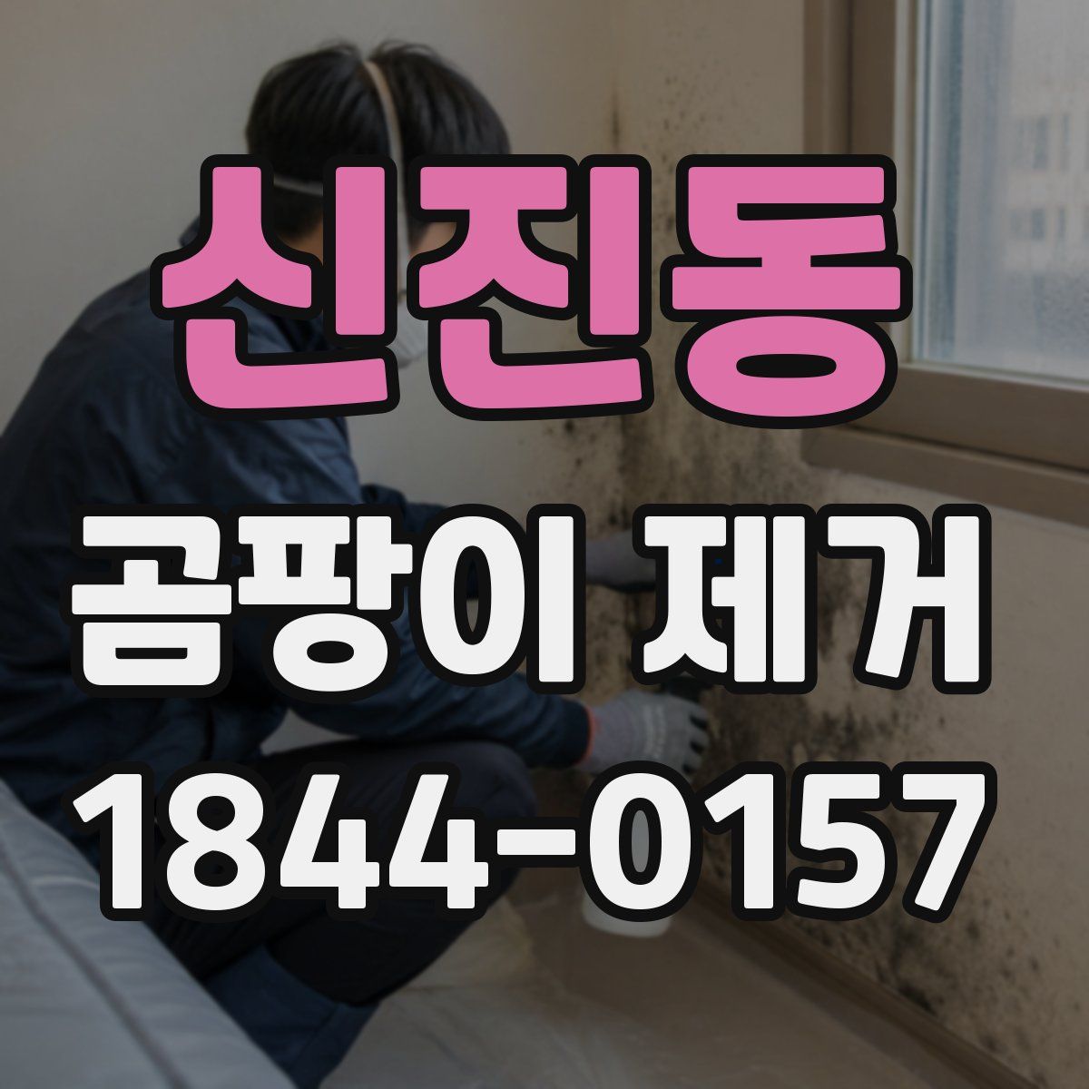 신진동 곰팡이 제거