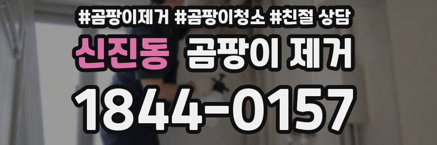 신진동 곰팡이 제거