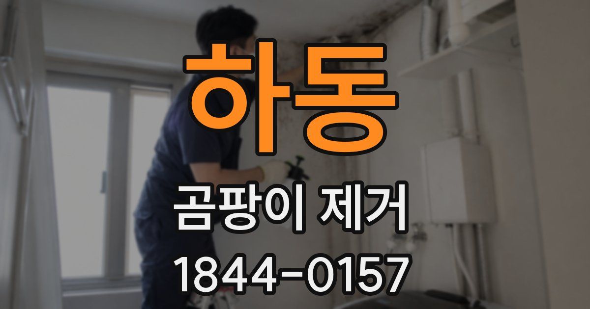 하동 곰팡이 제거