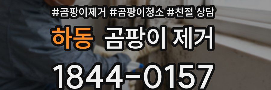 하동 곰팡이 제거