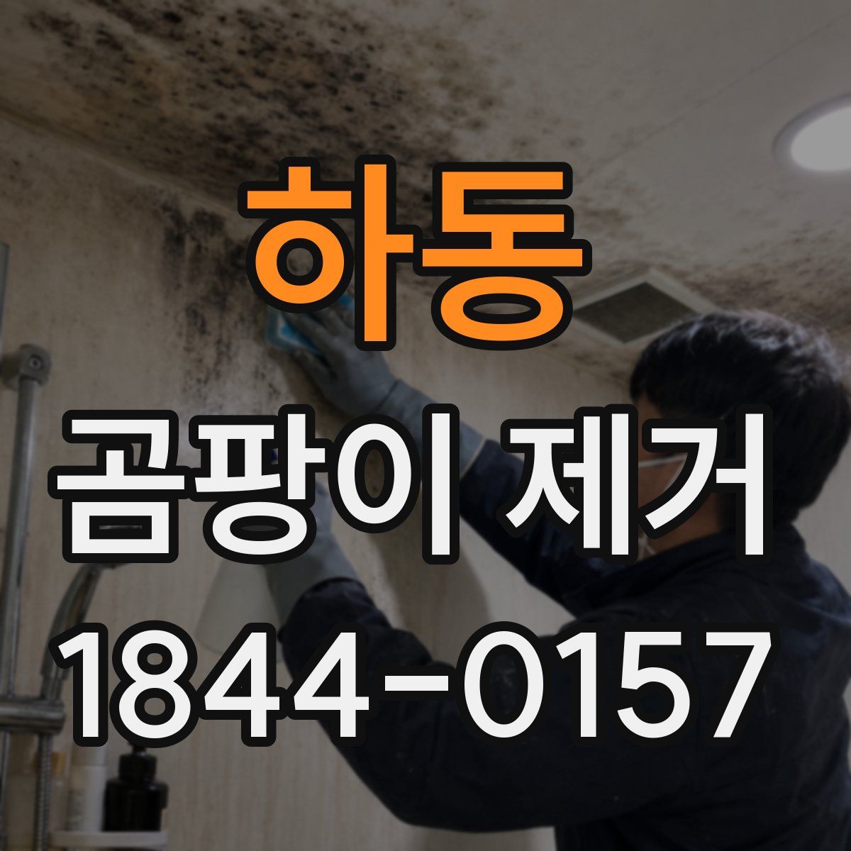 하동 곰팡이 제거