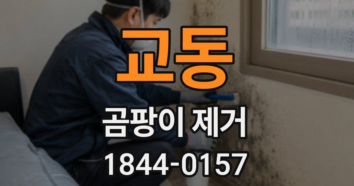 교동 곰팡이 제거