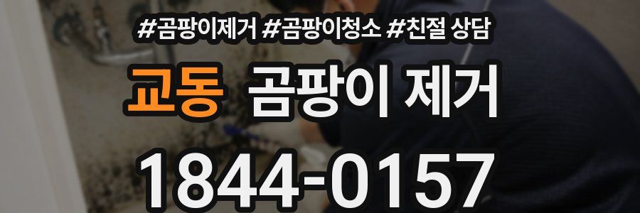 교동 곰팡이 제거