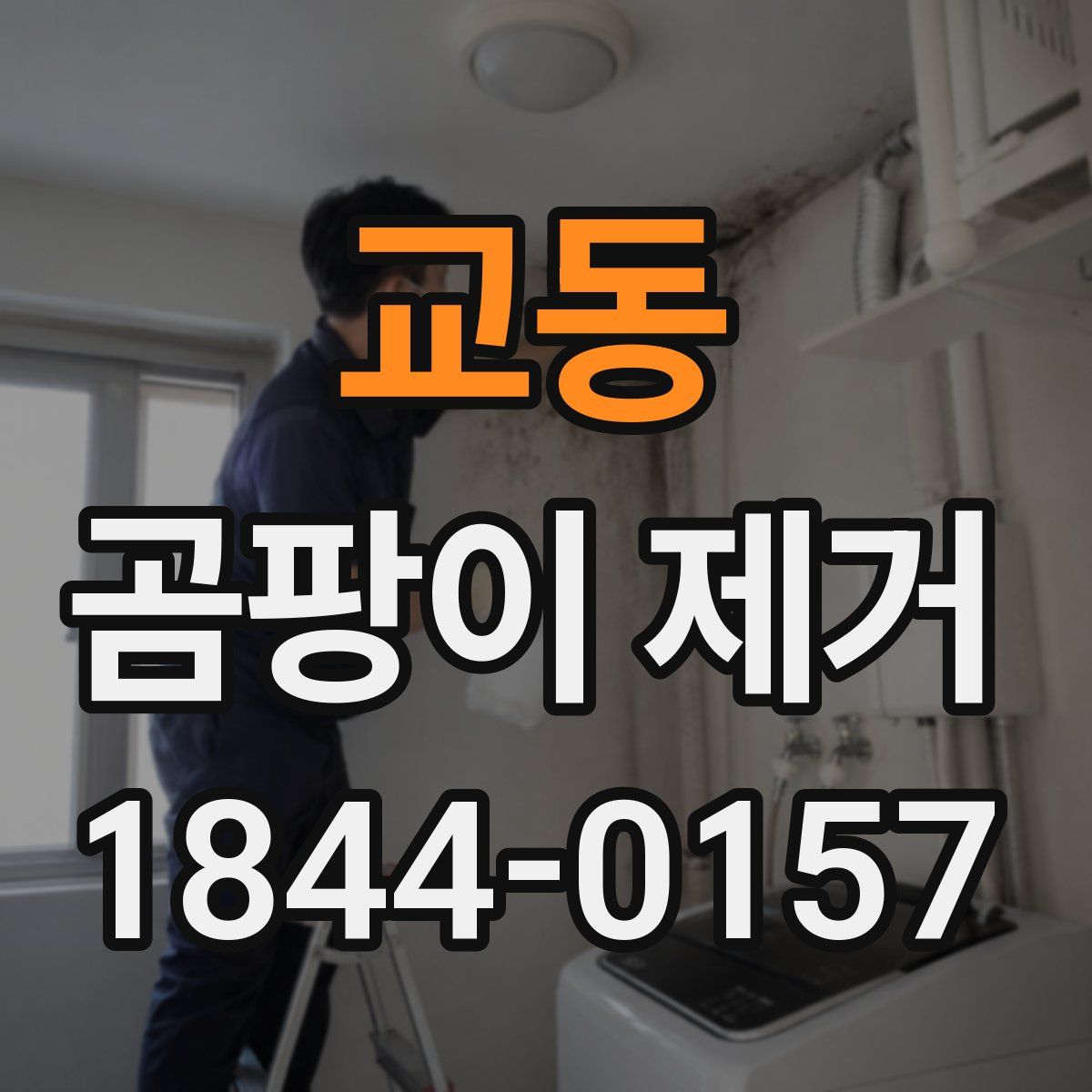 교동 곰팡이 제거