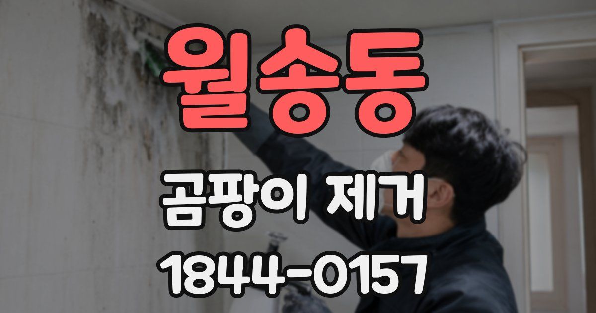 월송동 곰팡이 제거