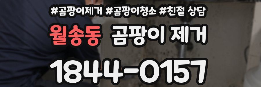 월송동 곰팡이 제거