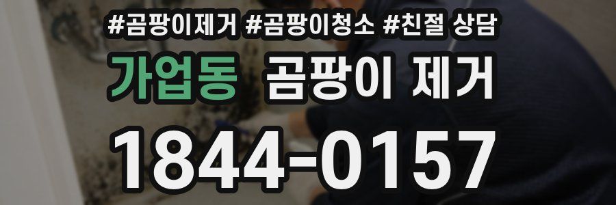 가업동 곰팡이 제거