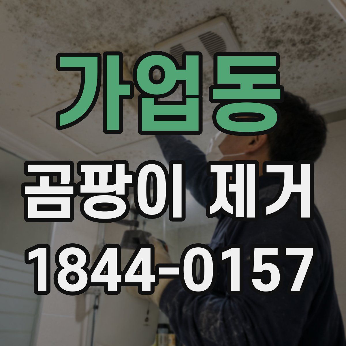 가업동 곰팡이 제거