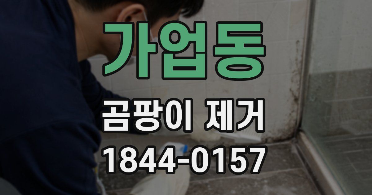 가업동 곰팡이 제거