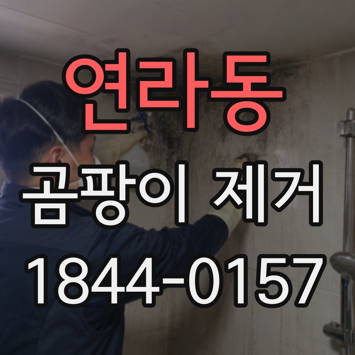 연라동 곰팡이 제거