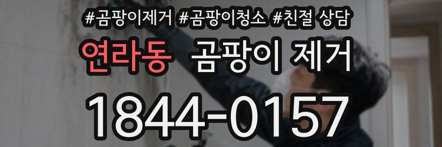 연라동 곰팡이 제거