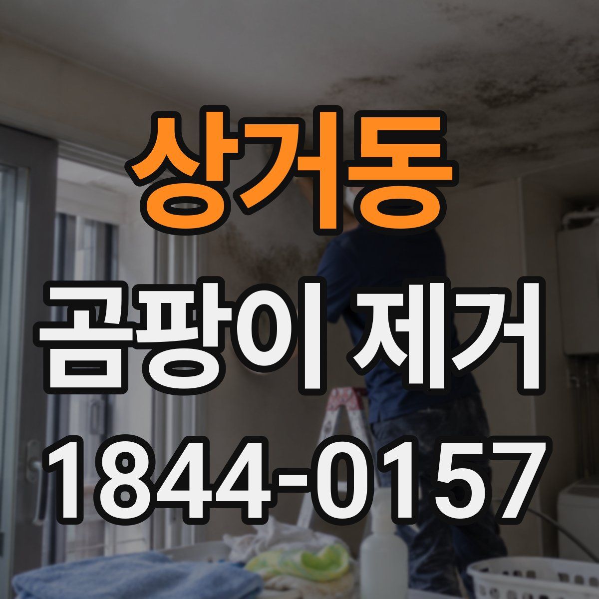상거동 곰팡이 제거