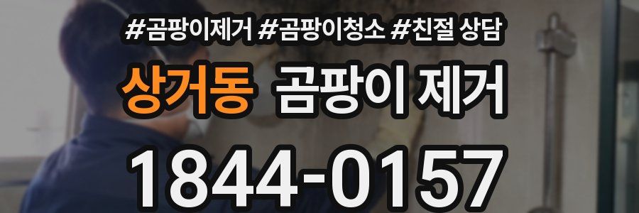 상거동 곰팡이 제거