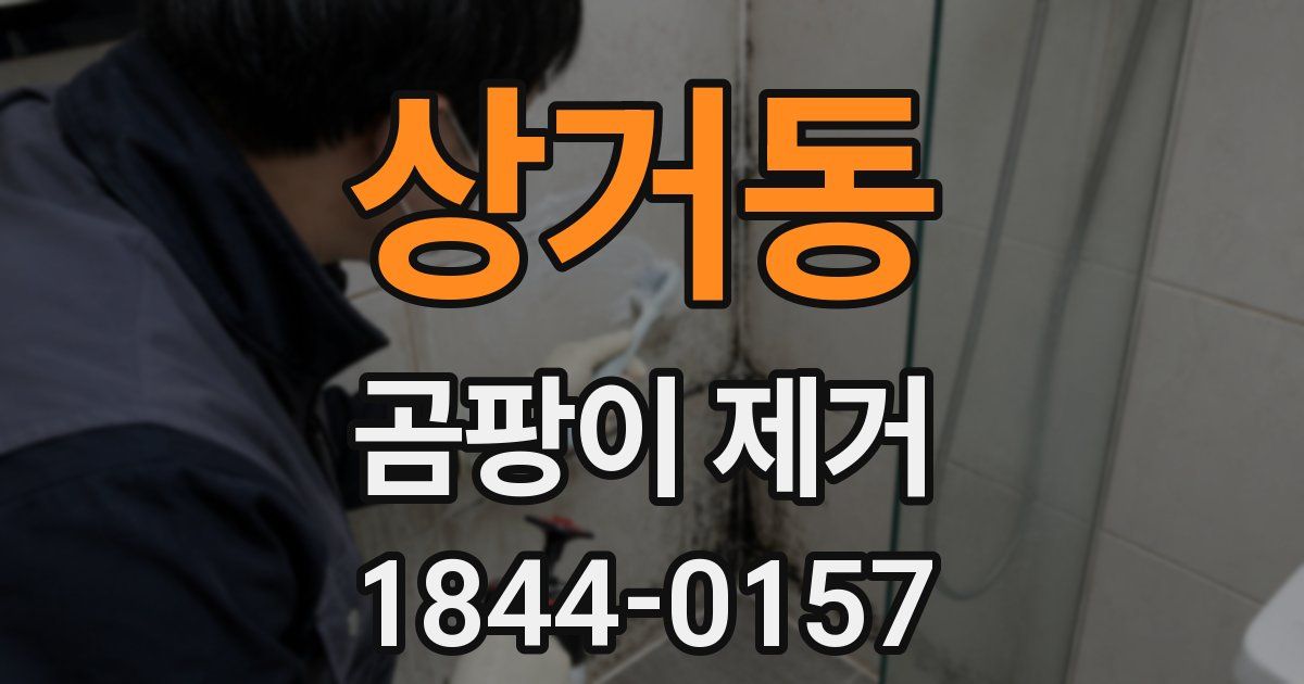 상거동 곰팡이 제거