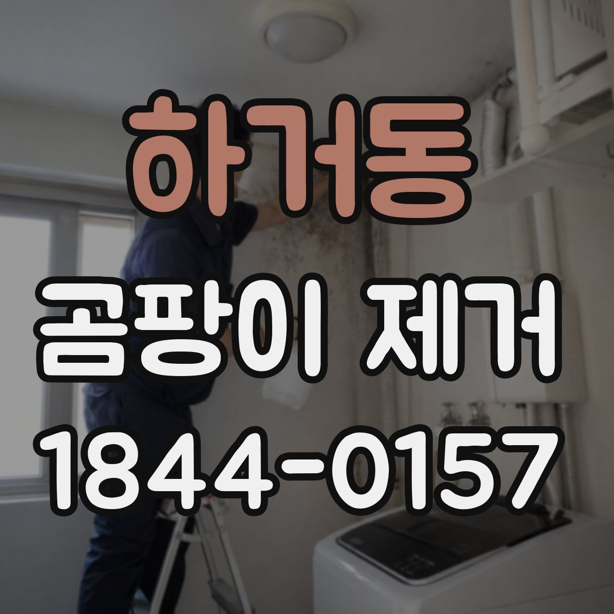 하거동 곰팡이 제거