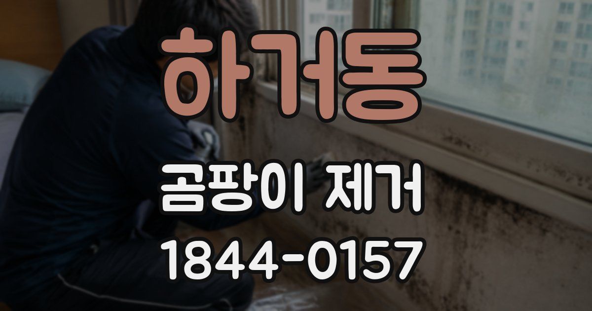 하거동 곰팡이 제거