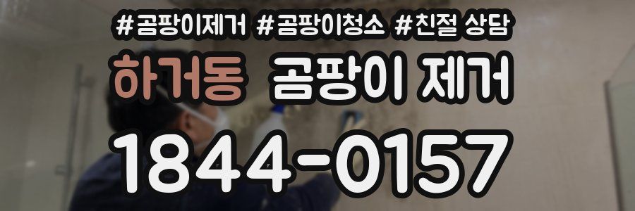 하거동 곰팡이 제거