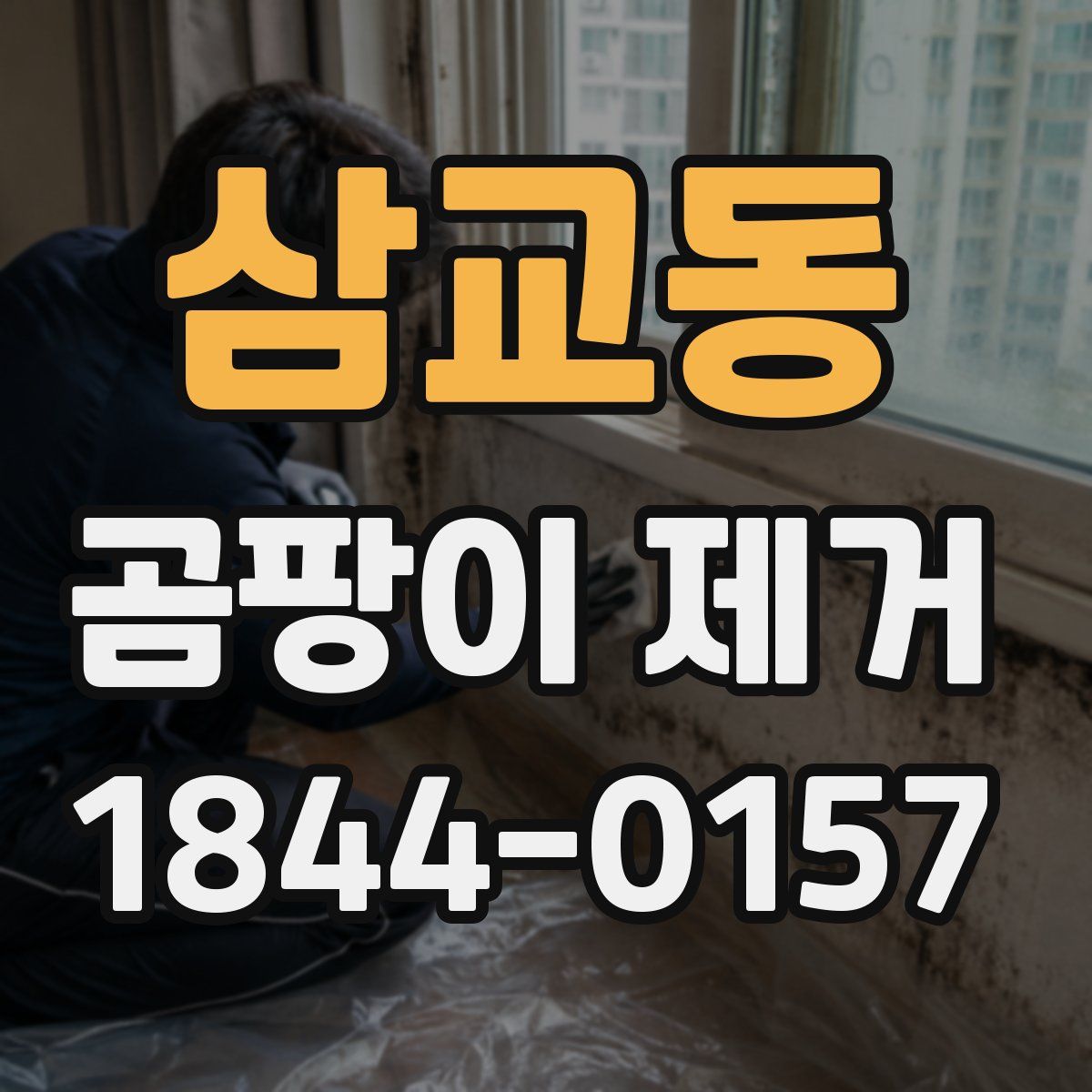 삼교동 곰팡이 제거