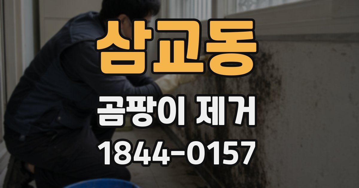 삼교동 곰팡이 제거
