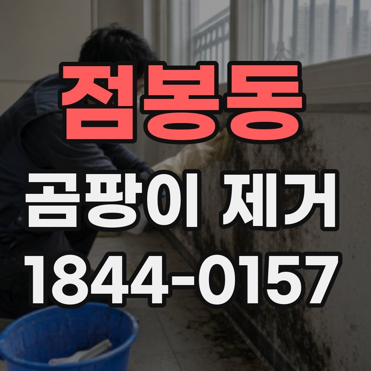 점봉동 곰팡이 제거 집안 구조별 취약 지점 살펴보기