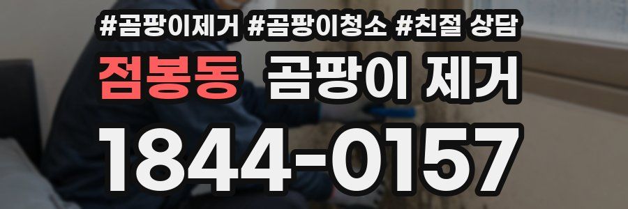 점봉동 곰팡이 제거