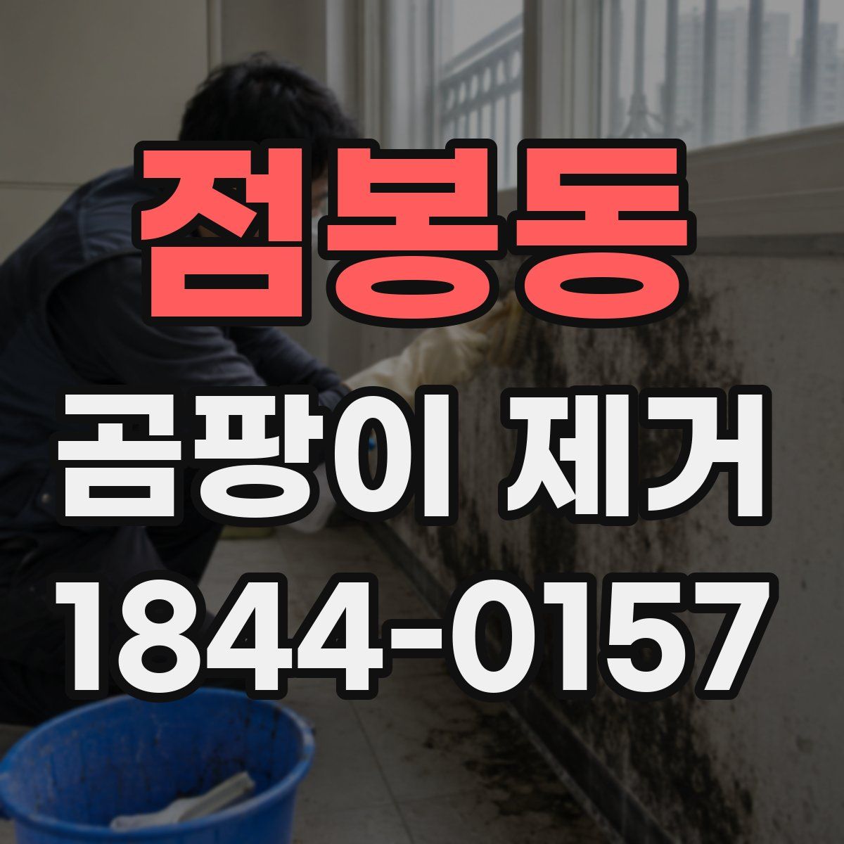 점봉동 곰팡이 제거