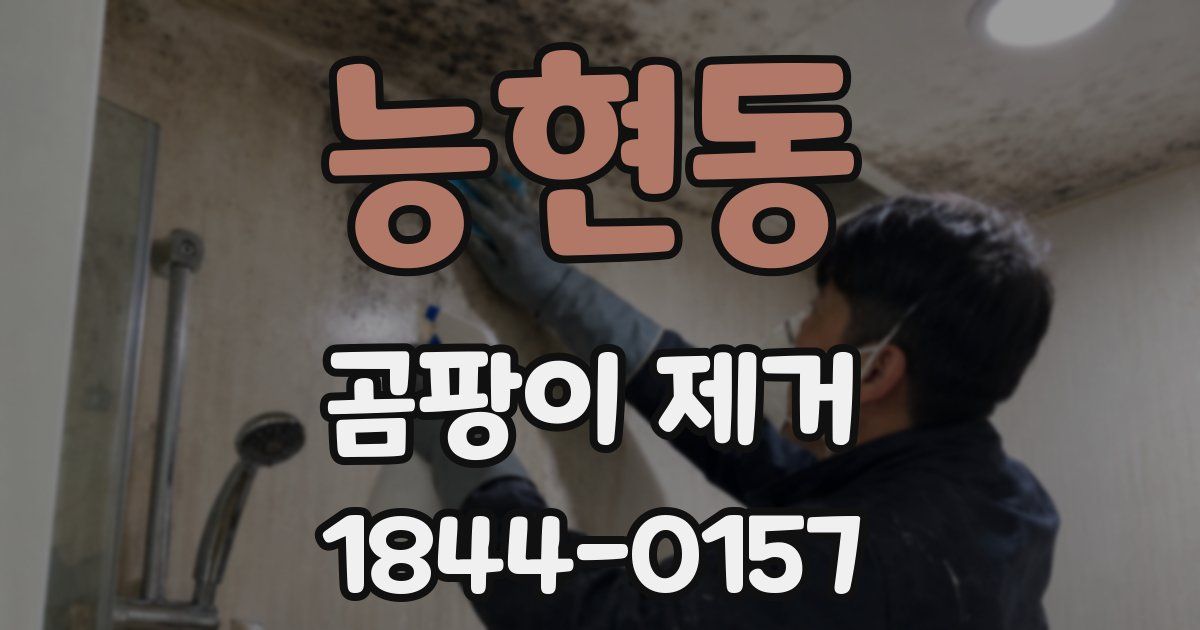능현동 곰팡이 제거