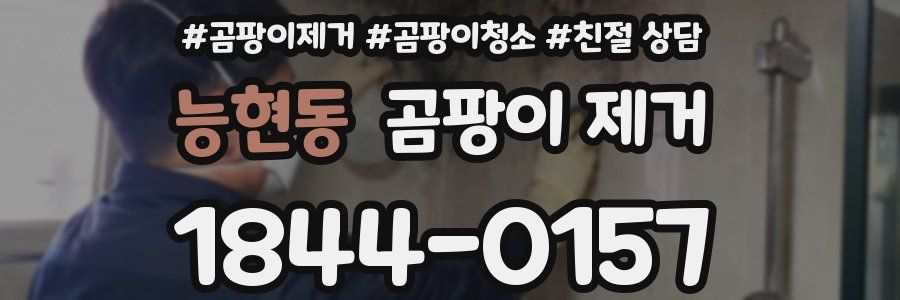능현동 곰팡이 제거