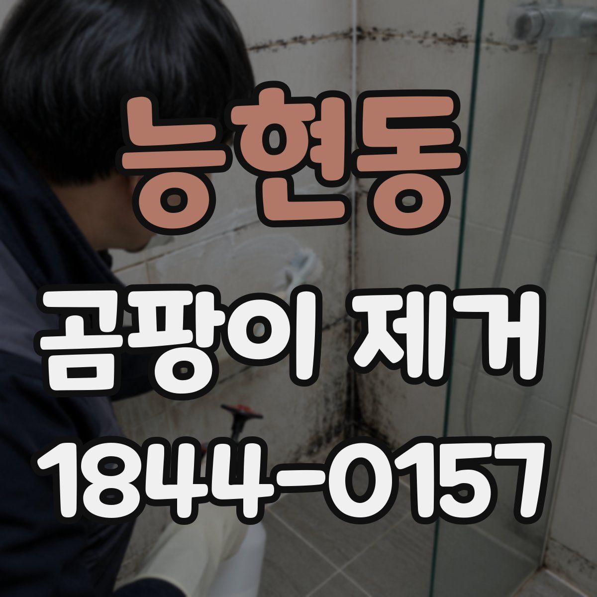능현동 곰팡이 제거