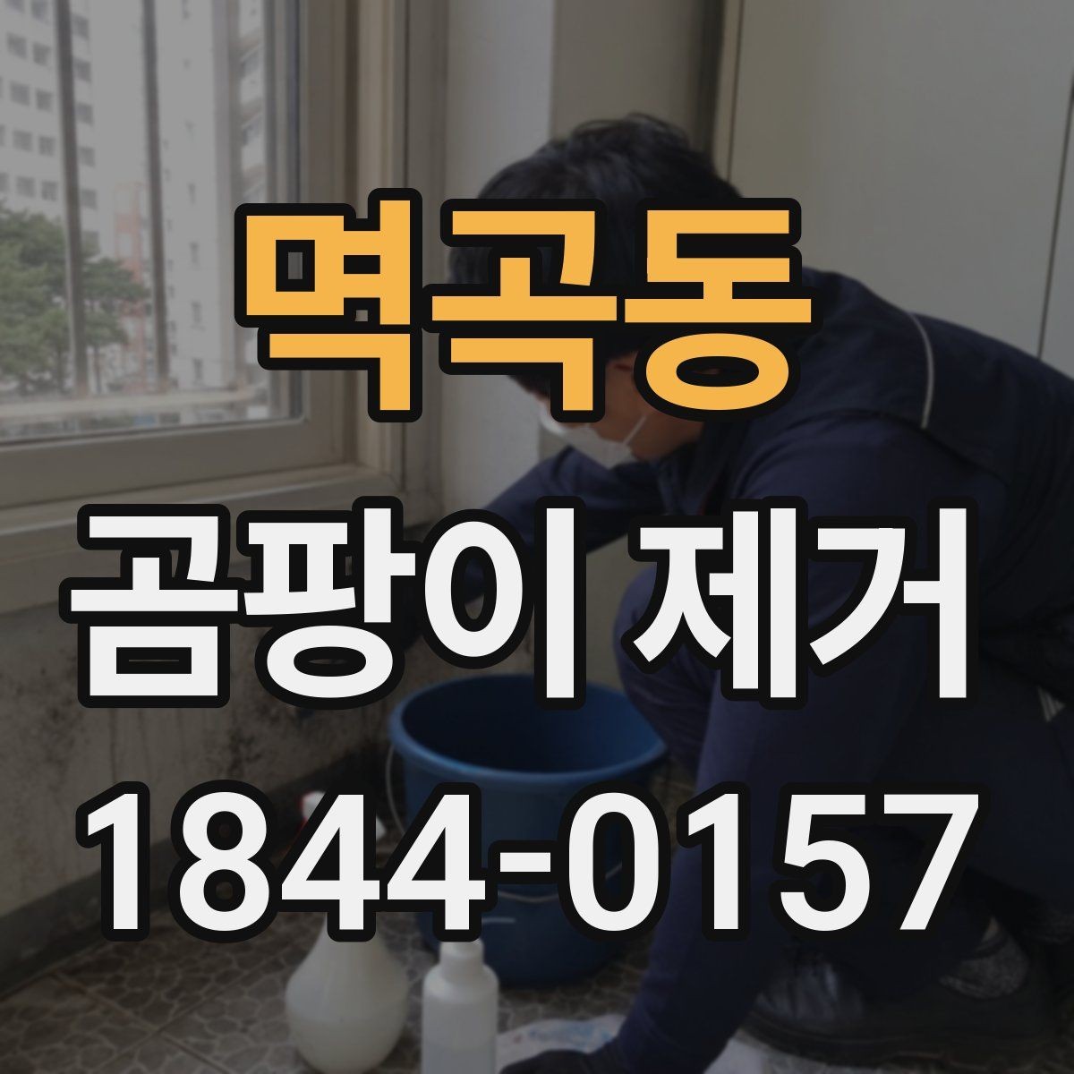 멱곡동 곰팡이 제거 전 준비물과 집안 정리 방법
