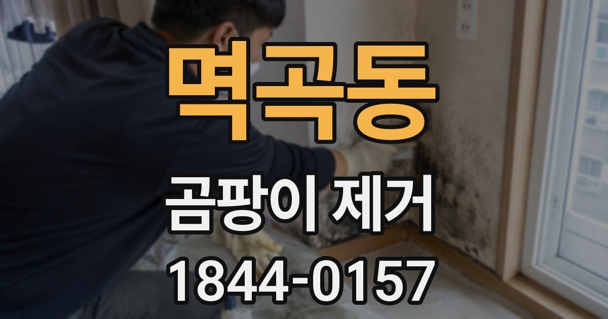 멱곡동 곰팡이 제거