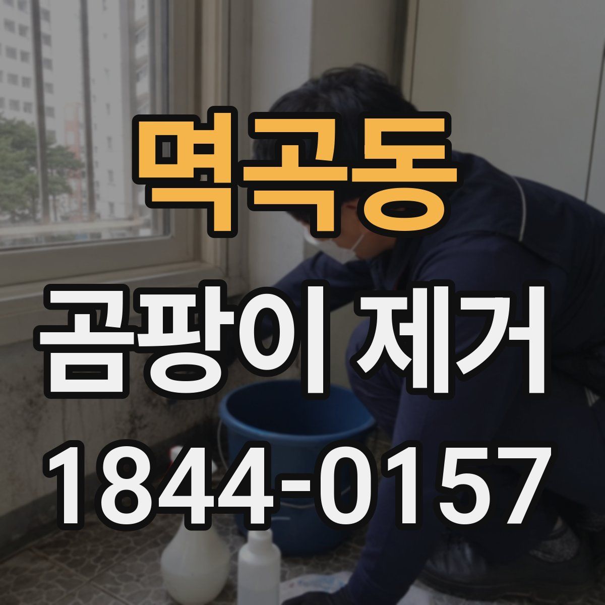 멱곡동 곰팡이 제거