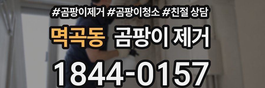 멱곡동 곰팡이 제거