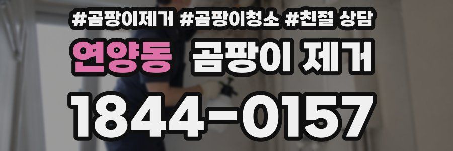 연양동 곰팡이 제거
