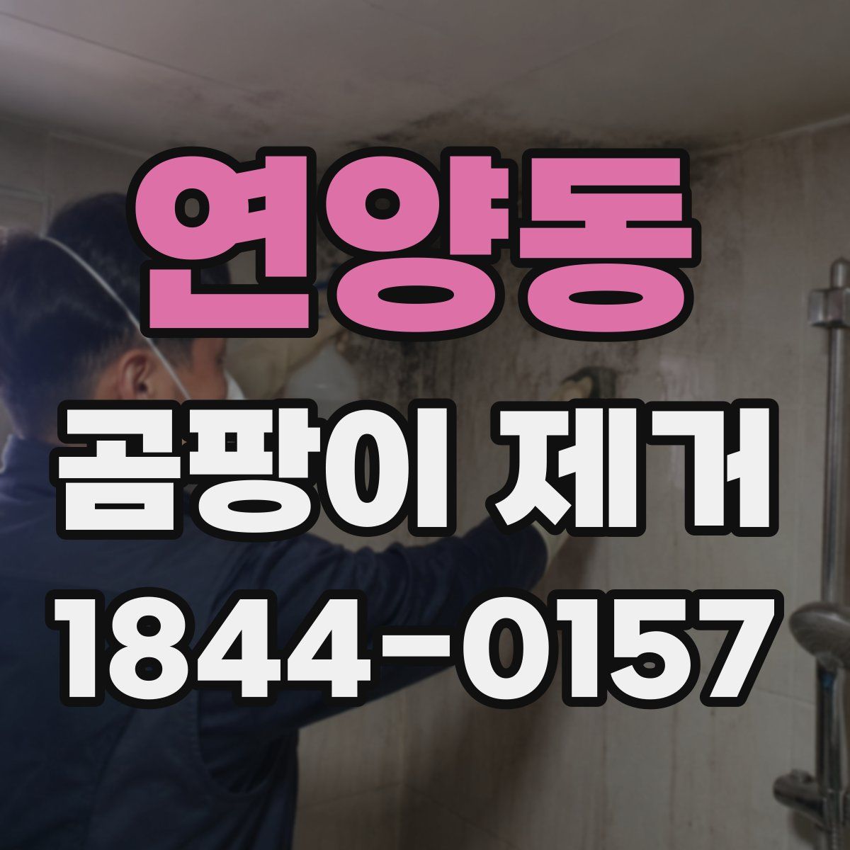 연양동 곰팡이 제거