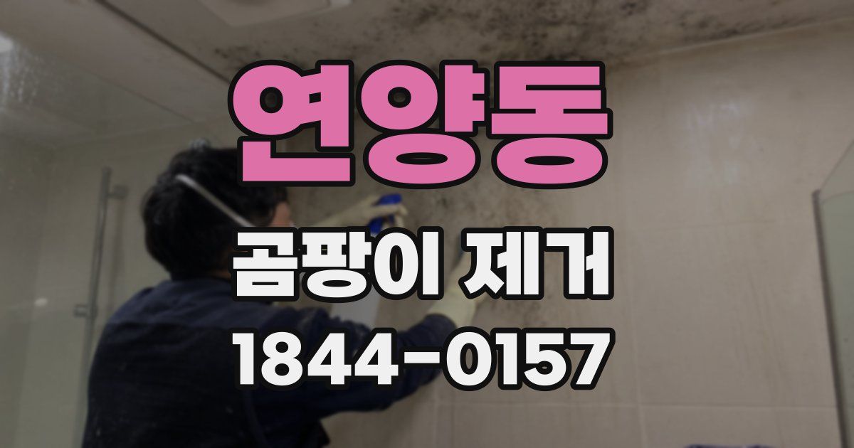 연양동 곰팡이 제거